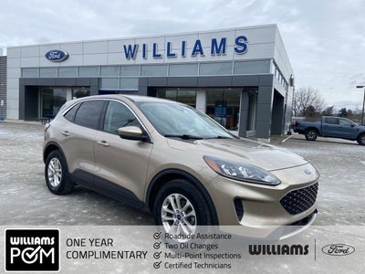 2020 Ford Escape SE