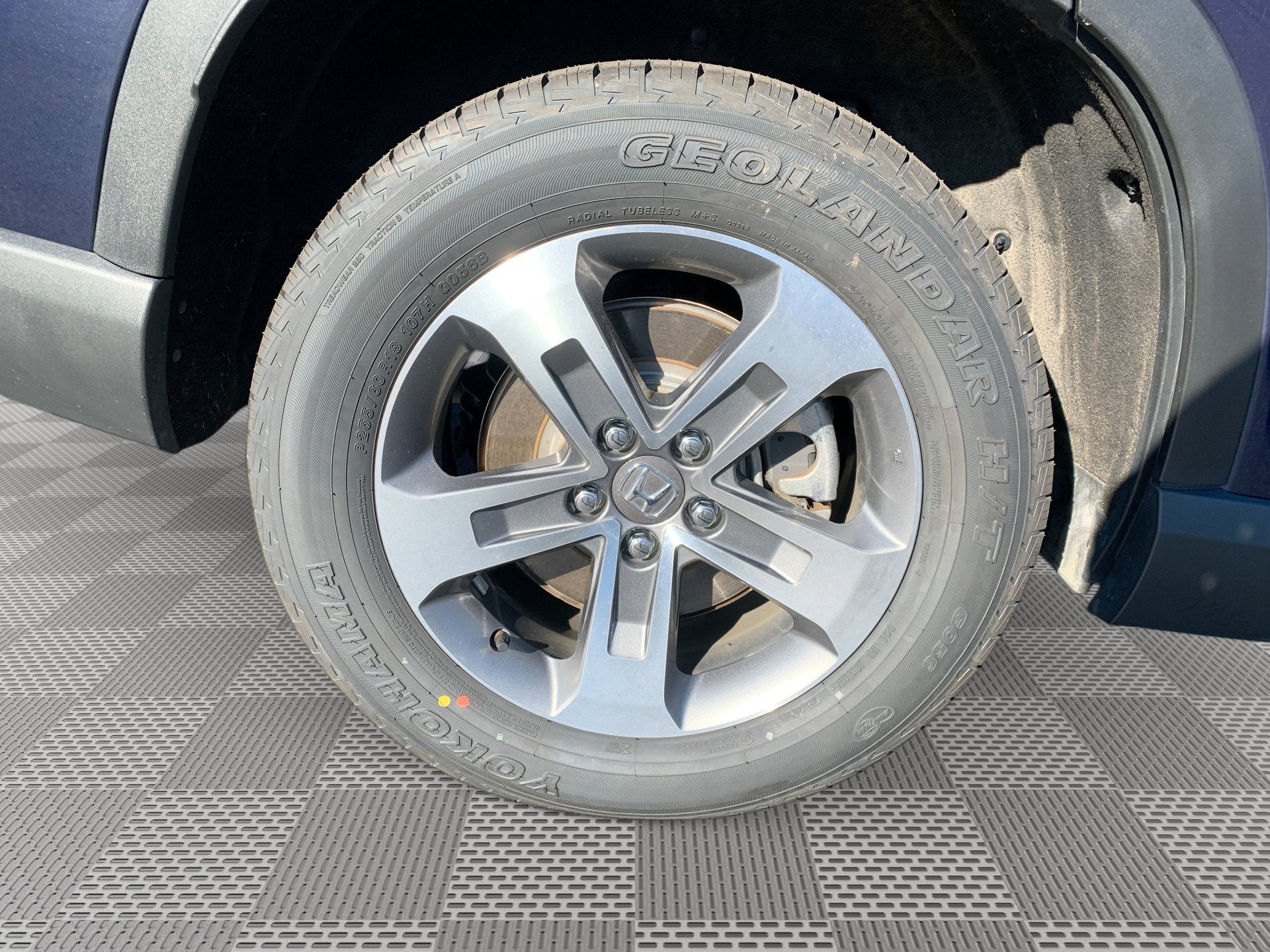 2024 Honda Pilot EX-L 8 Passenger