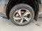 2024 Toyota RAV4 Prime SE