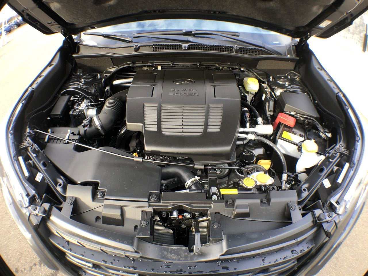 2024 Subaru Forester Premium