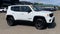 2021 Jeep Renegade 80th Anniversary