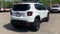 2021 Jeep Renegade 80th Anniversary
